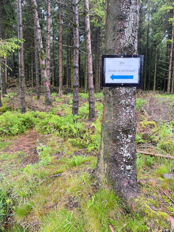 10. Hiihtolatu Signal de Botrange