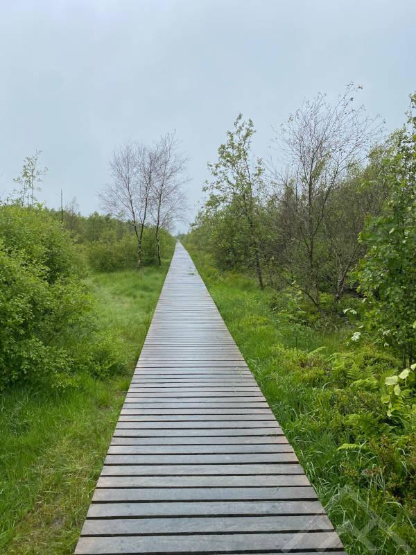 13. Pitkospuut kävely Signal de Botrange