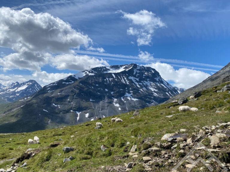 Galdhopiggen matkalla huipulle 1