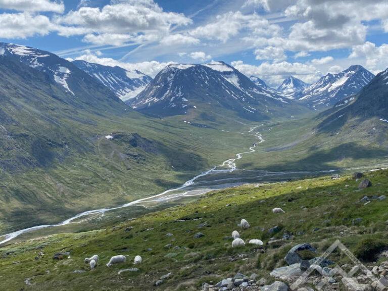 Galdhopiggen matkalla huipulle 2