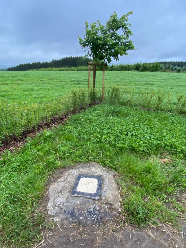 9. Luxembourgin korkein kohta Kneiff